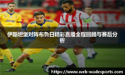 伟德体育官方网站